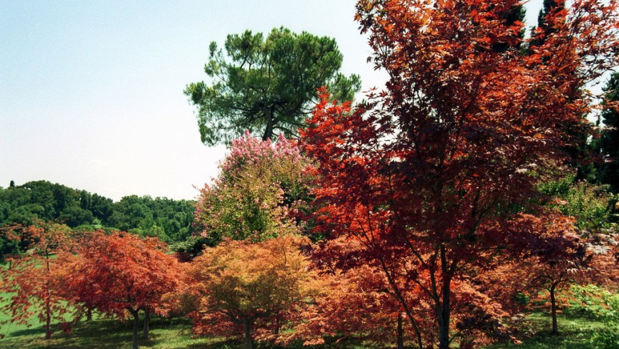 Paradisi Naturali In Italia Dove Ammirare Il Foliage Ecobnb