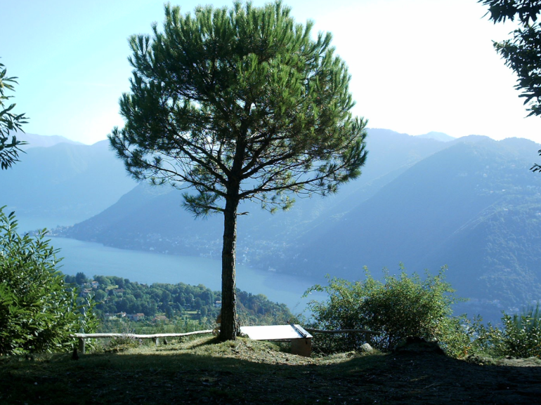 Pin Umbrela, punto panoramico del Monte Sasso