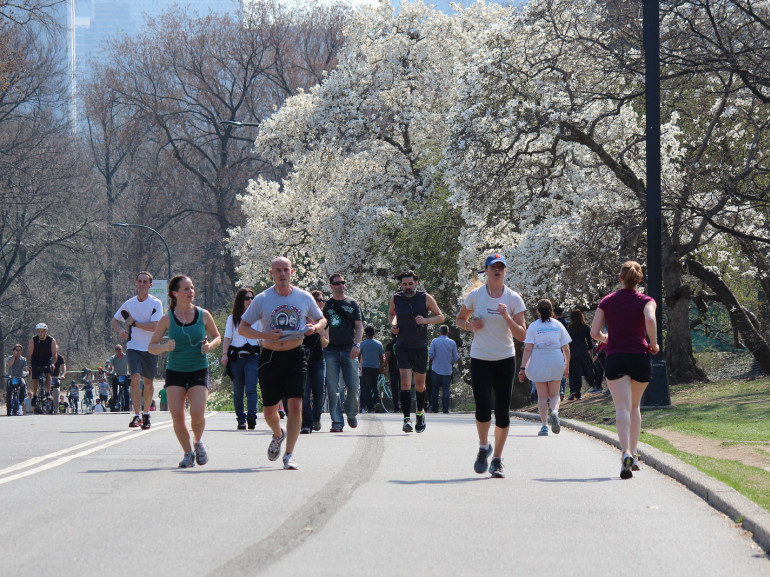 persone che fanno jogging sui sentieri del parco in primavera circondati da alberi fioriti