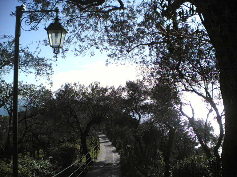 Sentiero sul monte di Portofino