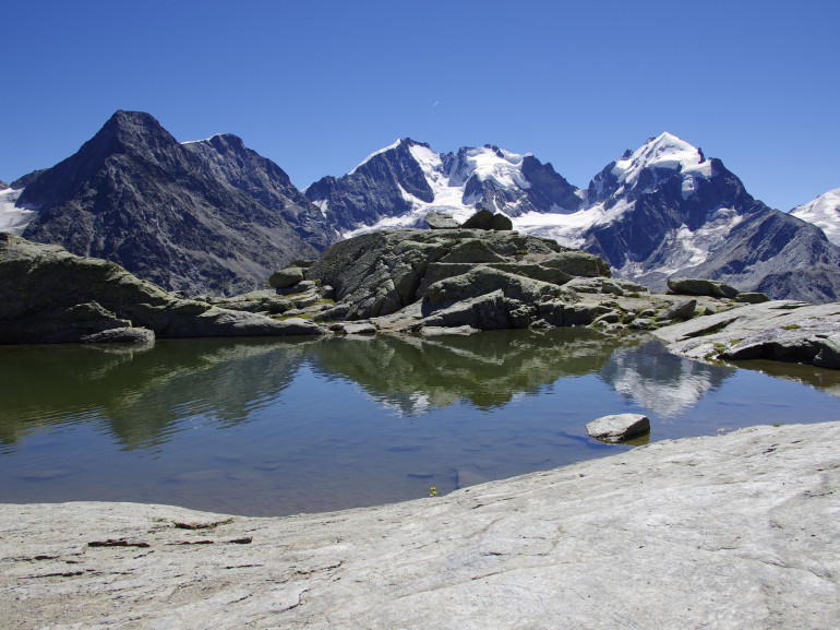 le vette innevate del Bernina viste da un lago alpino ai suoi piedi