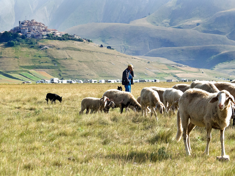 colline ed un borgo, nei prati circostanti un gregge di pecore