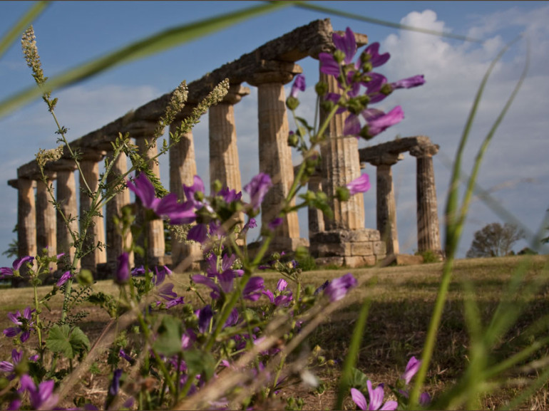 resti di un antico templio greco. Si vedono alcune colonne in pietra
