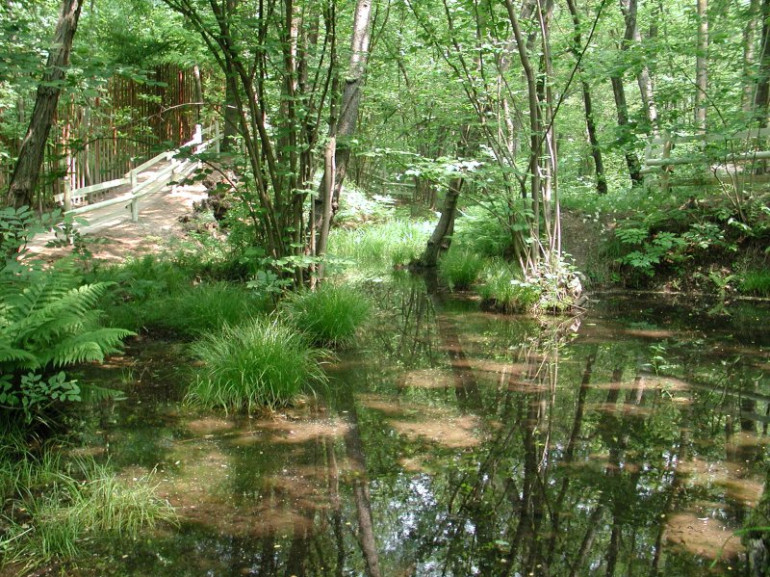 area umida di Paré, Parco Regionale Spina Verde
