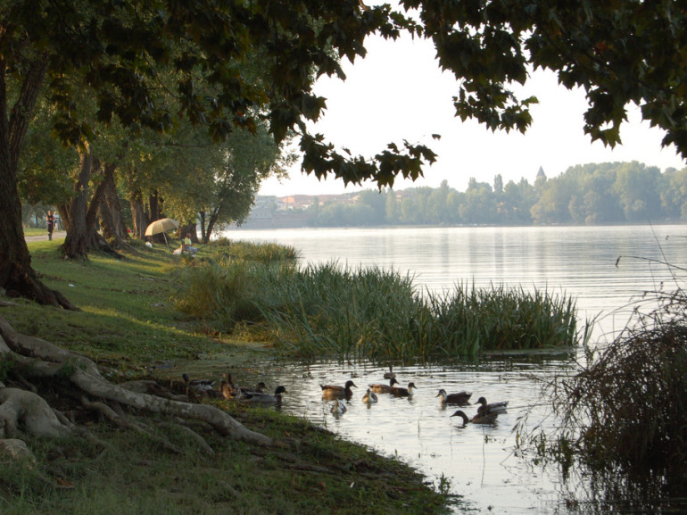 Anatre del Lago Superiore di Mantova, foto di Serena via Flickr