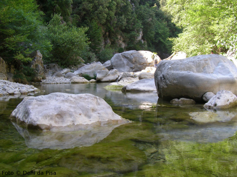 Bagno nelle acque limpide dell'Oasi del Bosco dei Rocconi