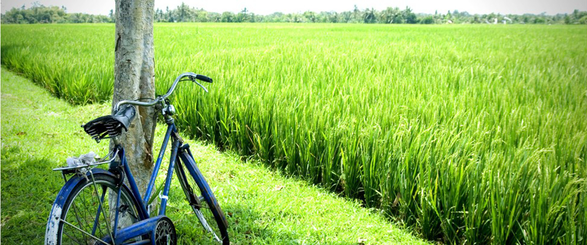 bicicletta in inglese come si dice