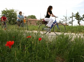 In bicicletta a Parma, durante il Festival it.a.cà