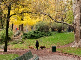 Colori dell'autunno nel giardino Idro Montanelli, Milano