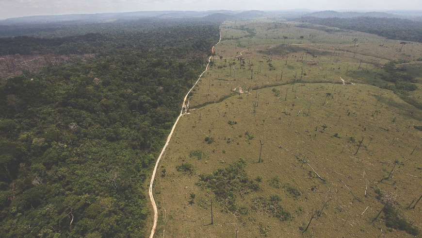 Deforestazione in Brasile 