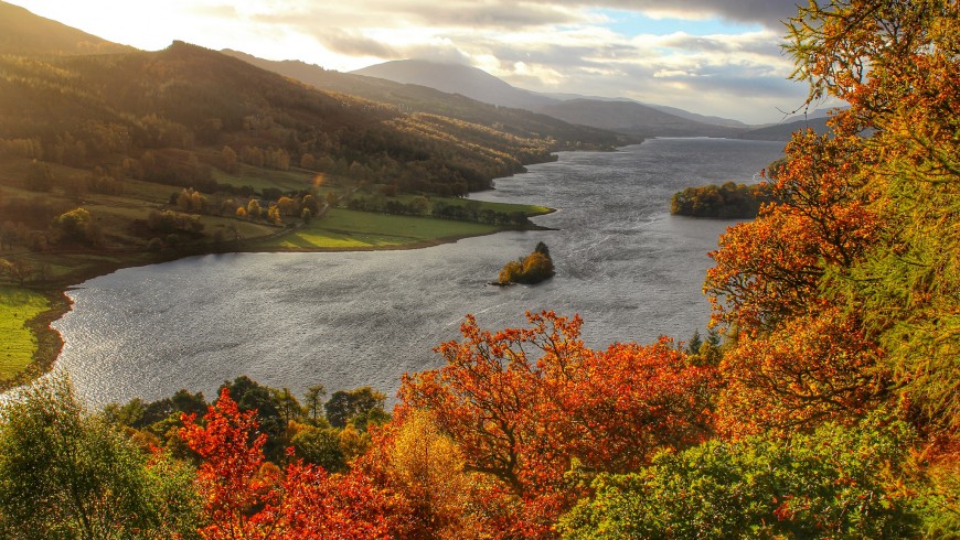 Foliage in Scozia