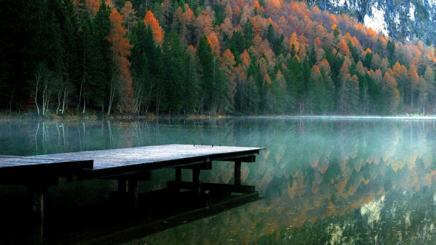 Foliage in Austria