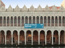 Il museo di scienze naturali di Venezia