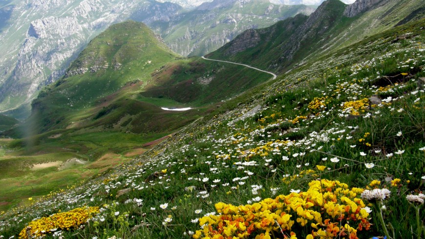 Il Parco Naturale delle Alpi Marittime, da percorrere a piedi da Limone Piemonte