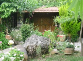 Fig Garden: case vacanza in Turchia