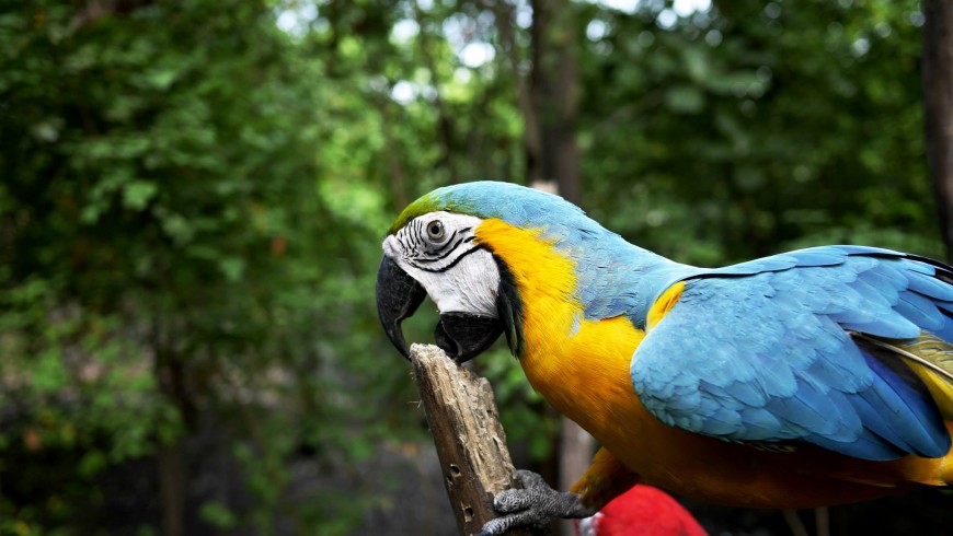 Ecuador - Ecoturismo: le migliori mete al mondo