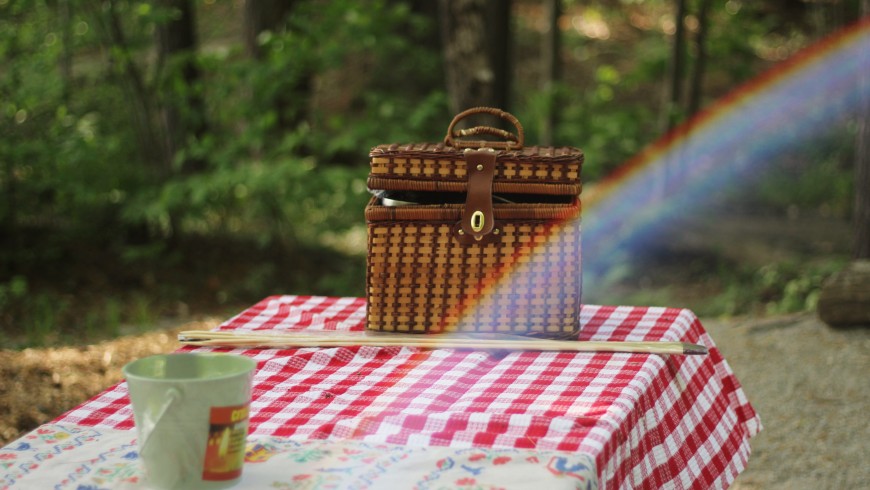 Un picnic nella natura per celebrare il solstizio d'estate