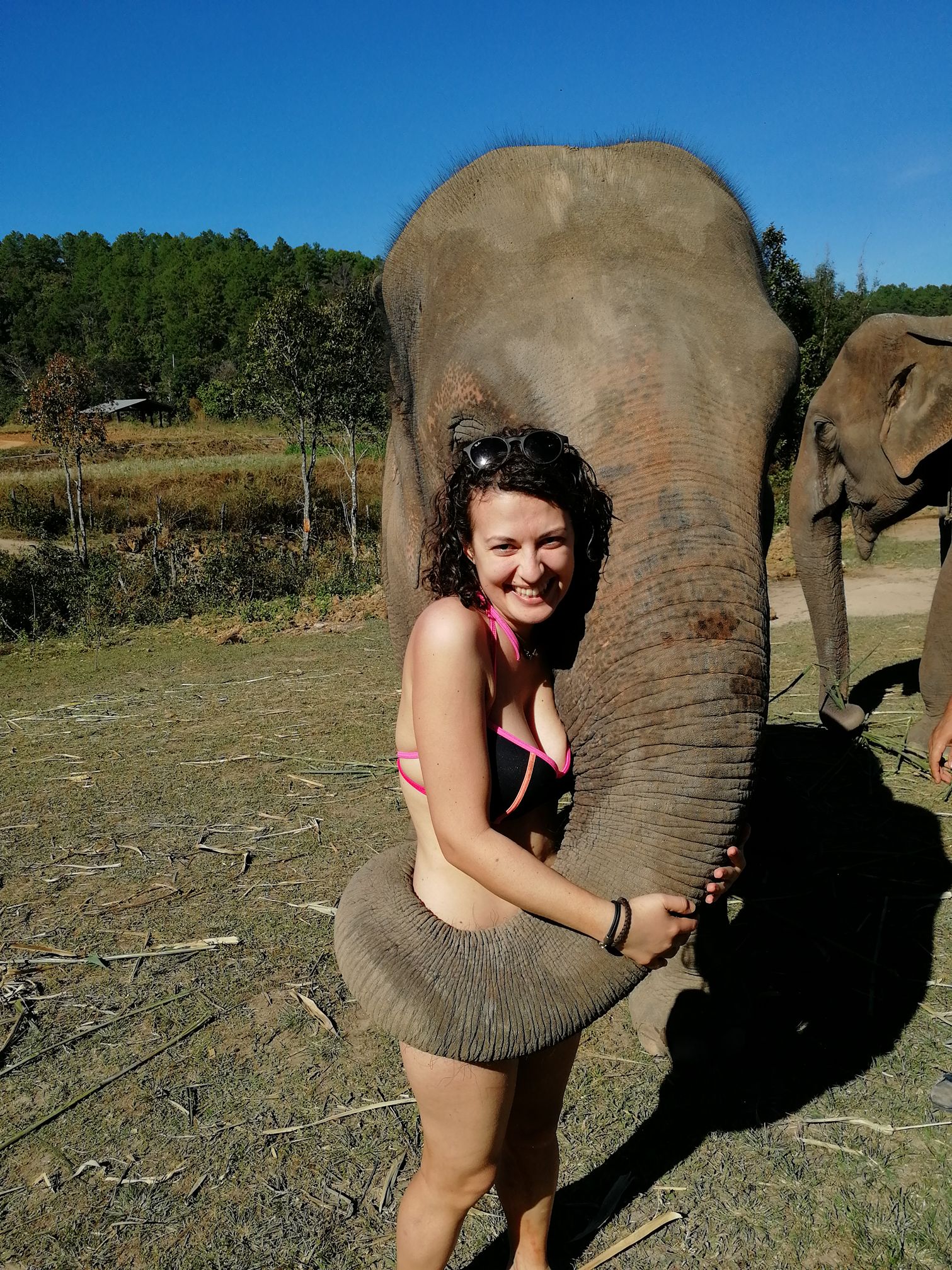 Teresa Agovino in Tailandia, abbracciata da un elefante