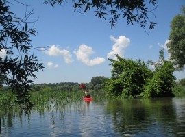 Un giorno in canoa lungo il Danubio in Serbia
