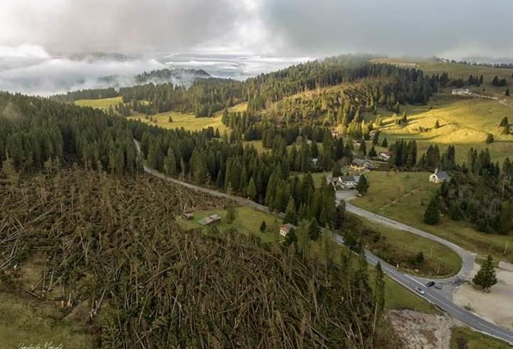 Strage di alberi sulle Dolomiti