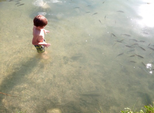 bimbo e pesci nell'acqua limpida del Lago di Lavarone