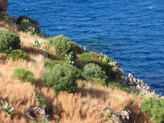 Mare e vegetazione nella Riserva Naturale dello Zingaro