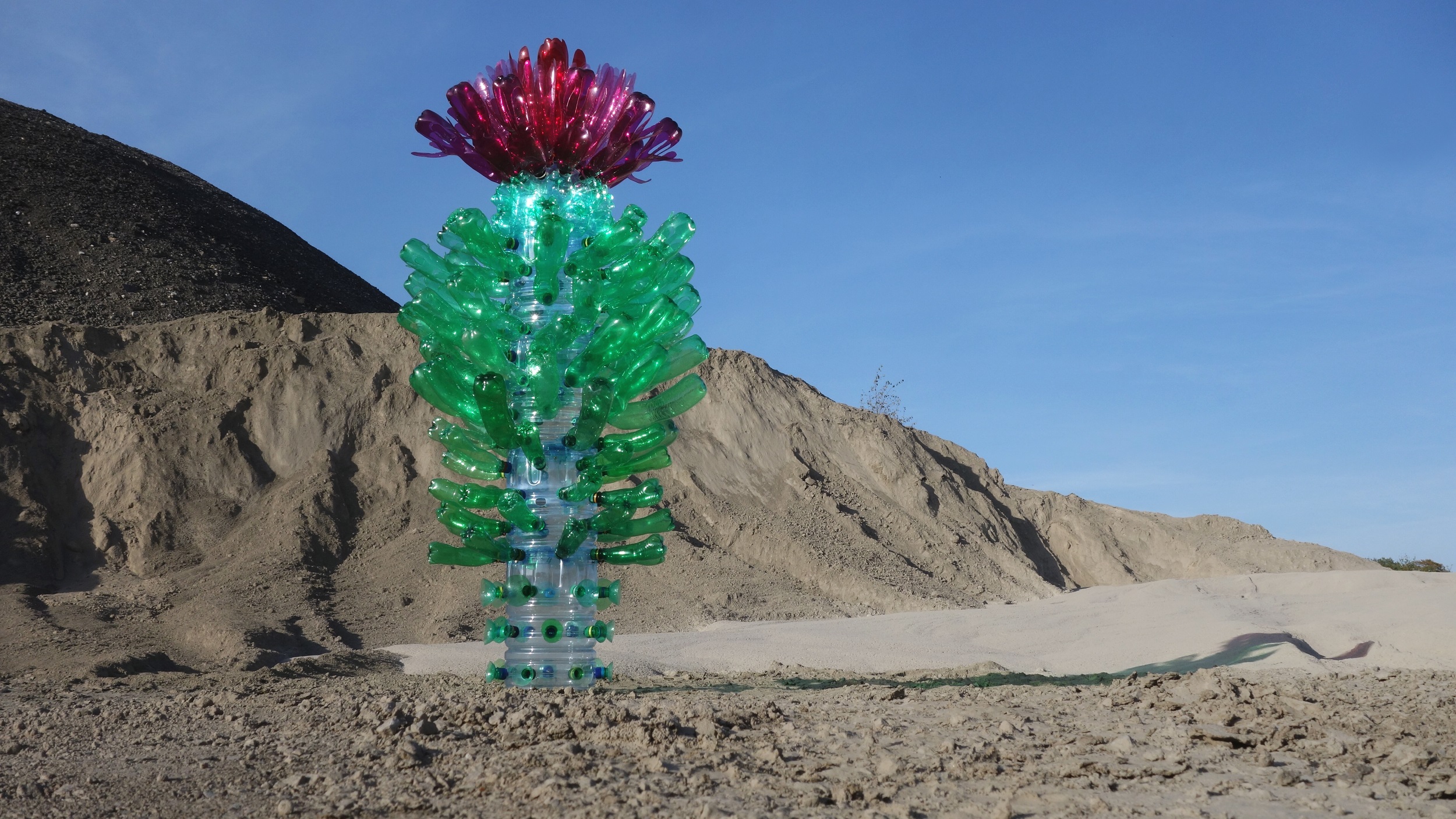 Kaktus in plastica riciclata di Veronika Richterová