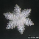 crostallo di ghiaccio al microscopio del lago maggiore
