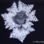 cristallo di ghiaccio al microscopio del lago titicaca
