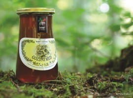 miele autoctono della slovenia