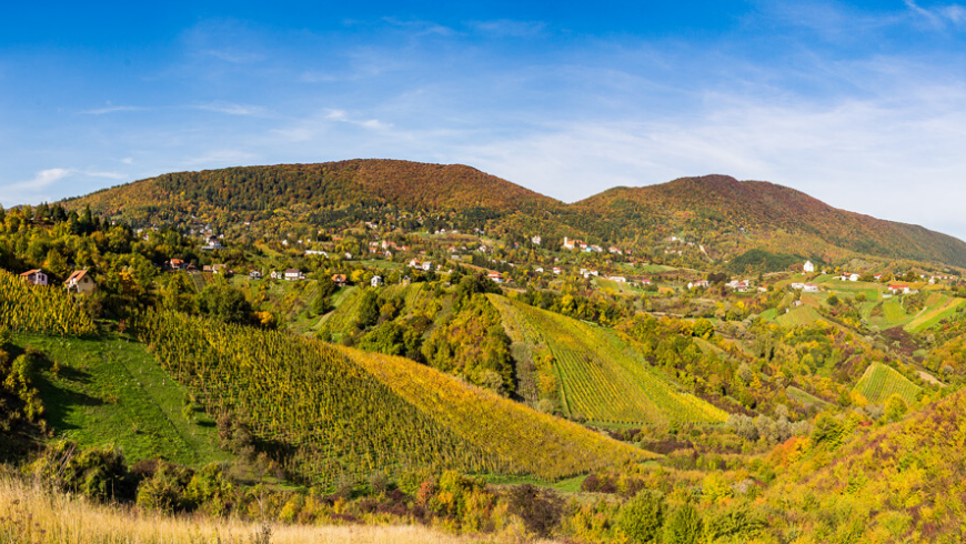 Monte Plešivica, Regione croata dello Champagne