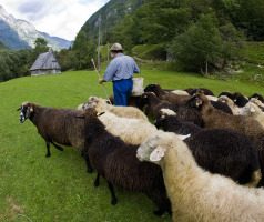 Slovenia: vacanze green e attive in fattoria
