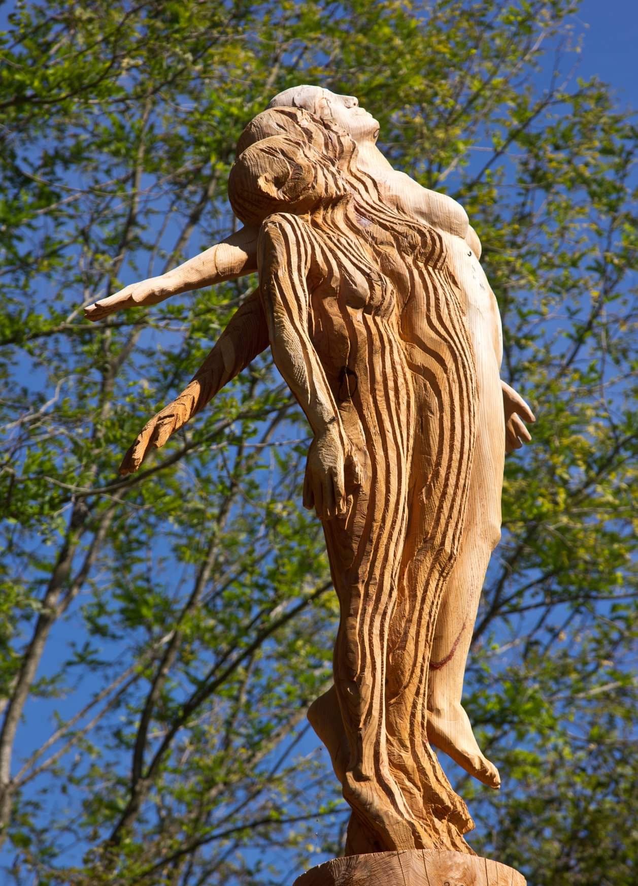 L Arte E La Natura Si Incontrano Nel Bosco Arte Stenico Ecobnb