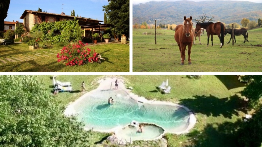 piscina, cavalli, agriturismo vicino a Firenze