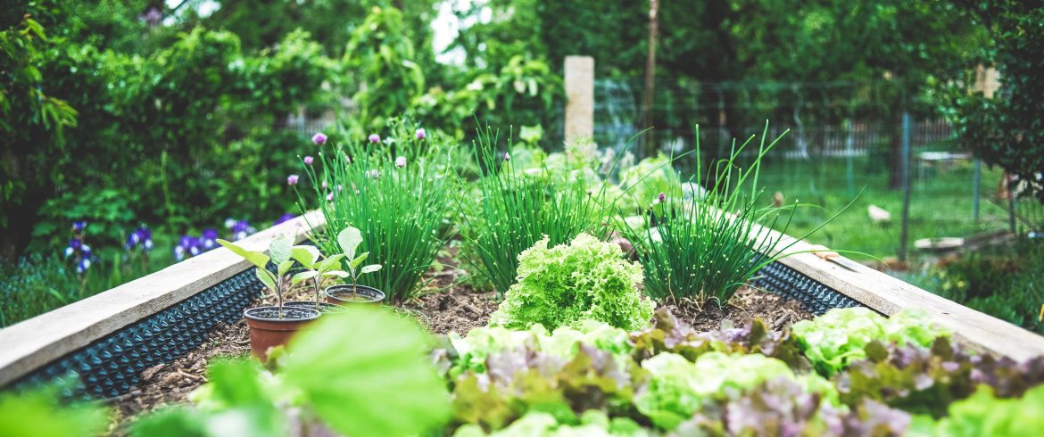5 Consigli per creare il tuo Giardino Eco-friendly - Ecobnb