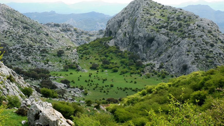 Parque Natural Sierra de Grazalema, parchi naturali Andalusia