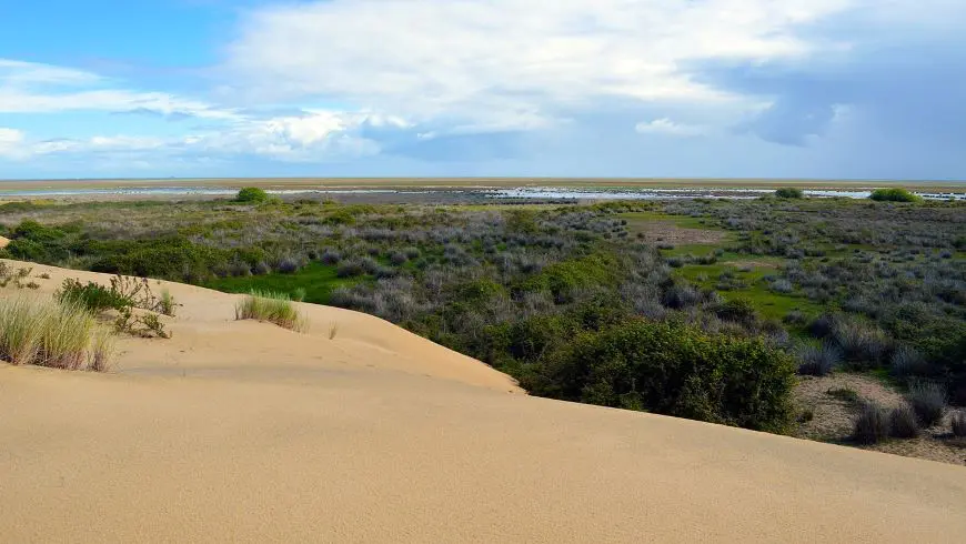 The mix of sand dunes, shrubs and wetlands in the Doñana National Park