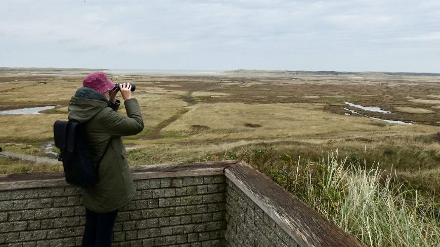Birdwatching sull'Isola di Texel. Foto di Irene Paolinelli