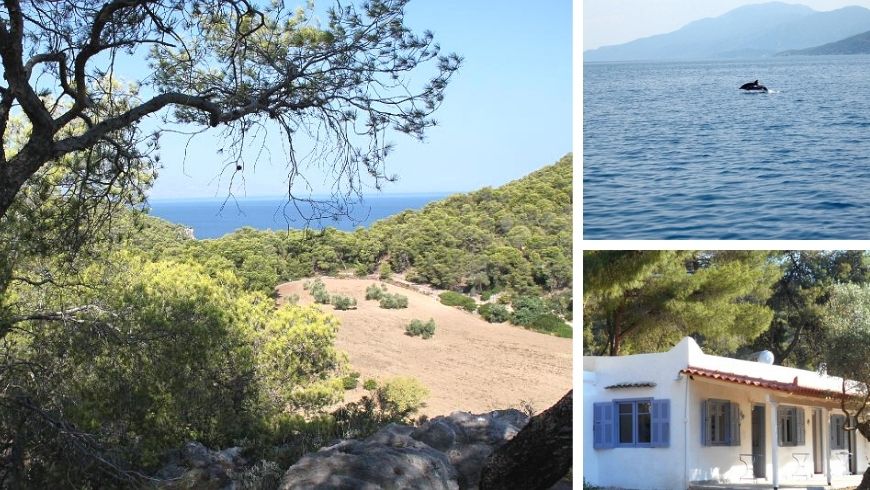 Mare e Natura allo stato puro in Grecia