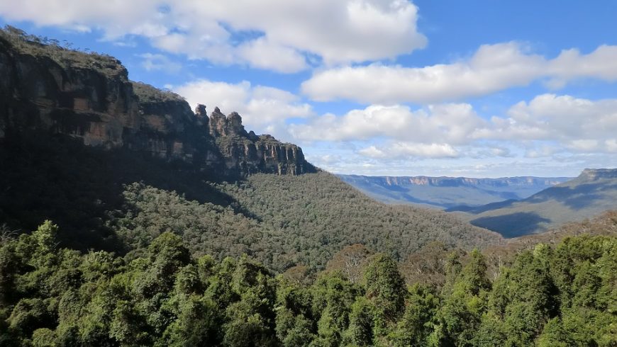 Boschi e montagne in Australia