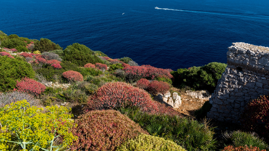 Parco naturale di Porto Conte, Sardegna