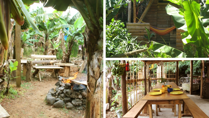 eco friendly hut in una giungla di banani