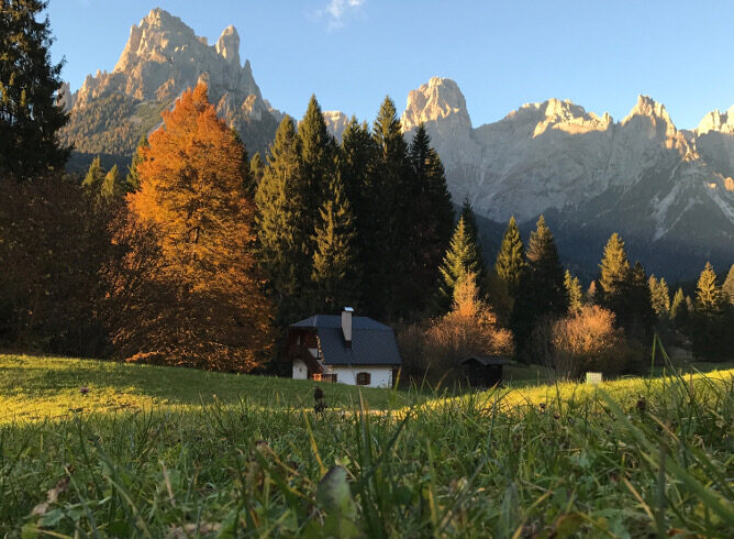 Foliage in Val Canali, with Pale di San Martino in the background