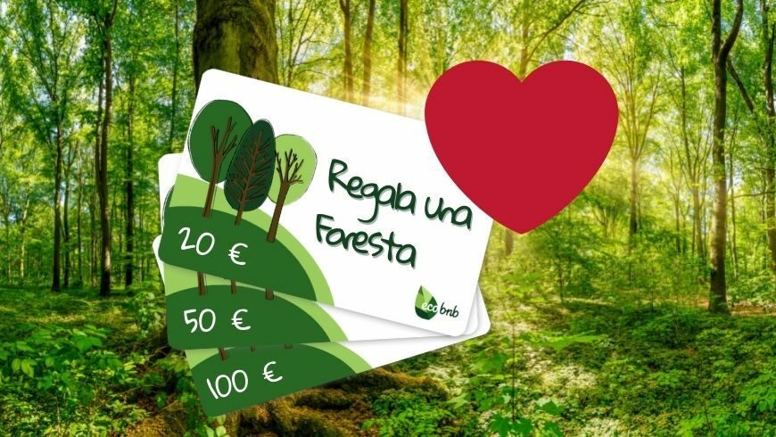 regali green: regala una foresta con la gift card ecobnb
