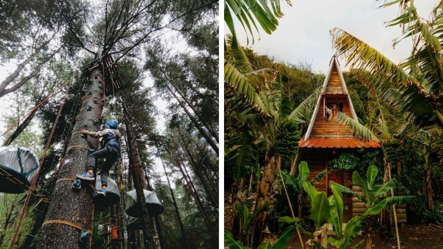 On the left Adventure Park in Madonie, on the right the eco-camp Banana Cabana