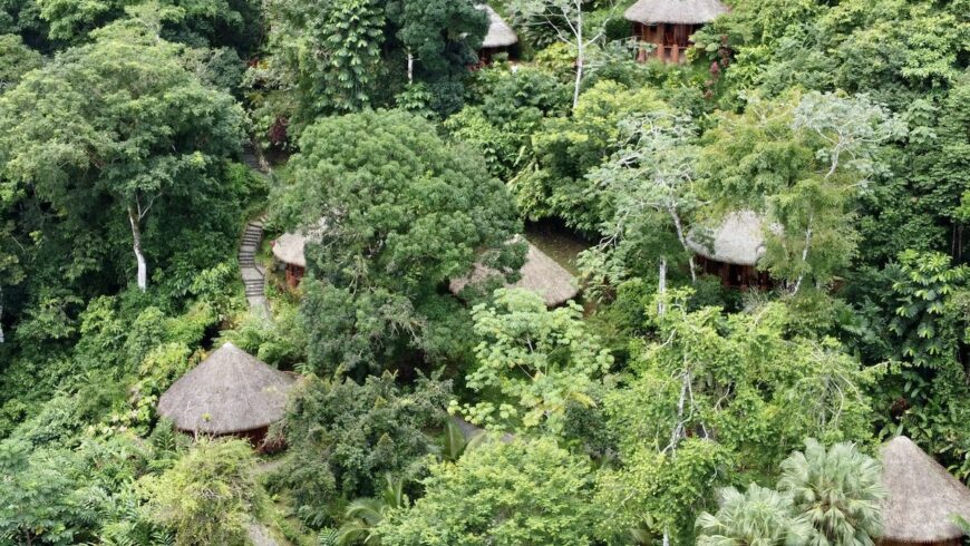 Case sugli alberi in Costa Rica