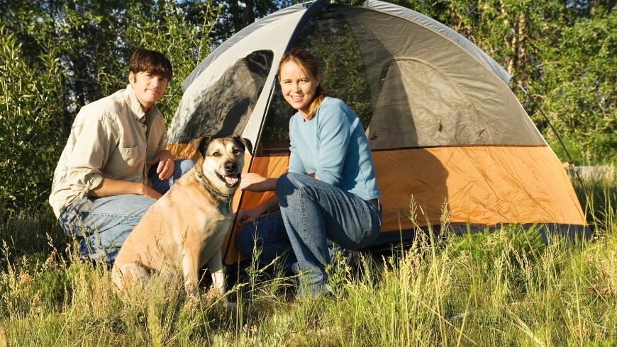 vacanza in campeggio con gli amici e il cane