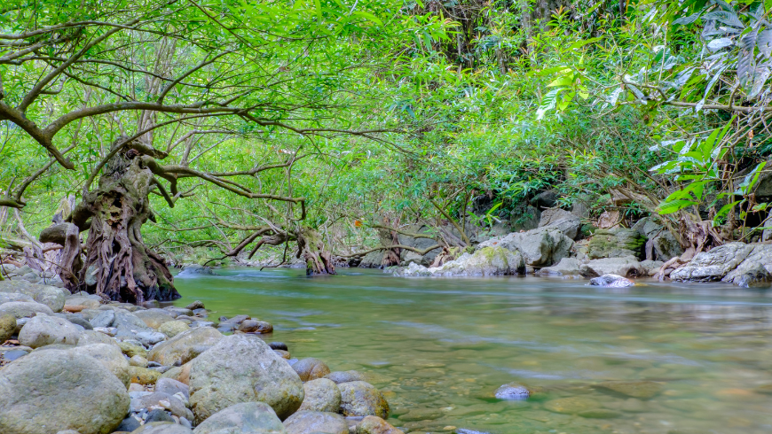 The Parco Dei Fontanili Di Capralba Ecobnb