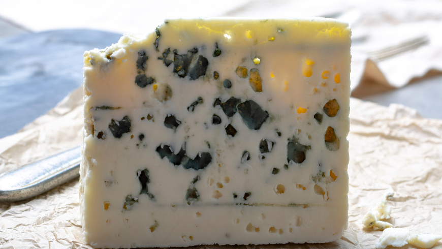 Slice of Roquefort, matured in the cheese cellars in the Roquefort Caves