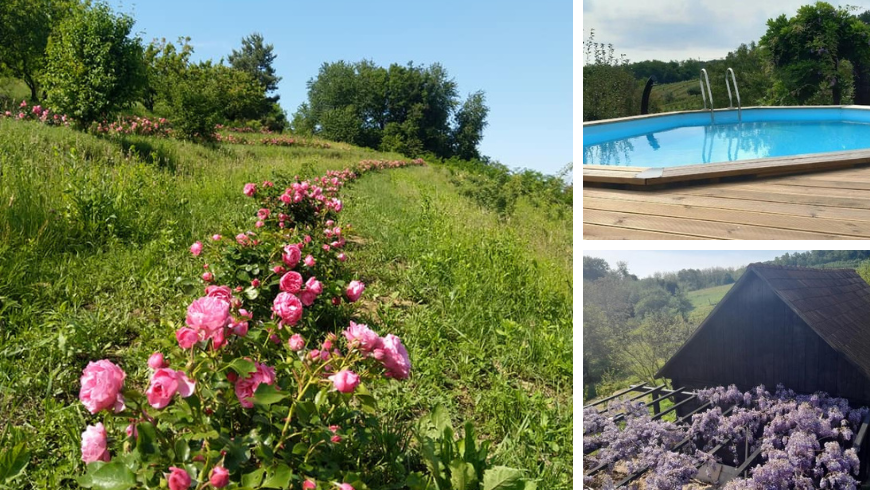 Rose Hip Hill: an oasis of nature and sustainability in Breznica